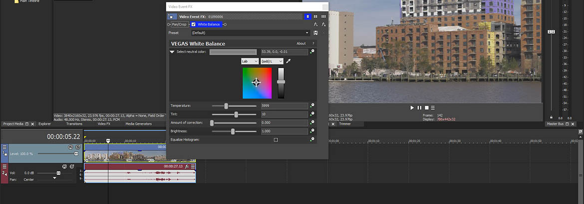 Step 2: White Balance FX